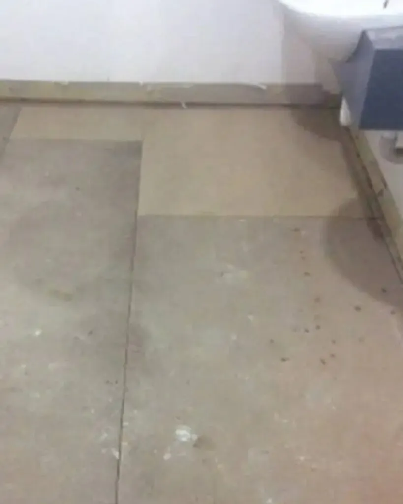 Commercial Drainage Plumbing Service